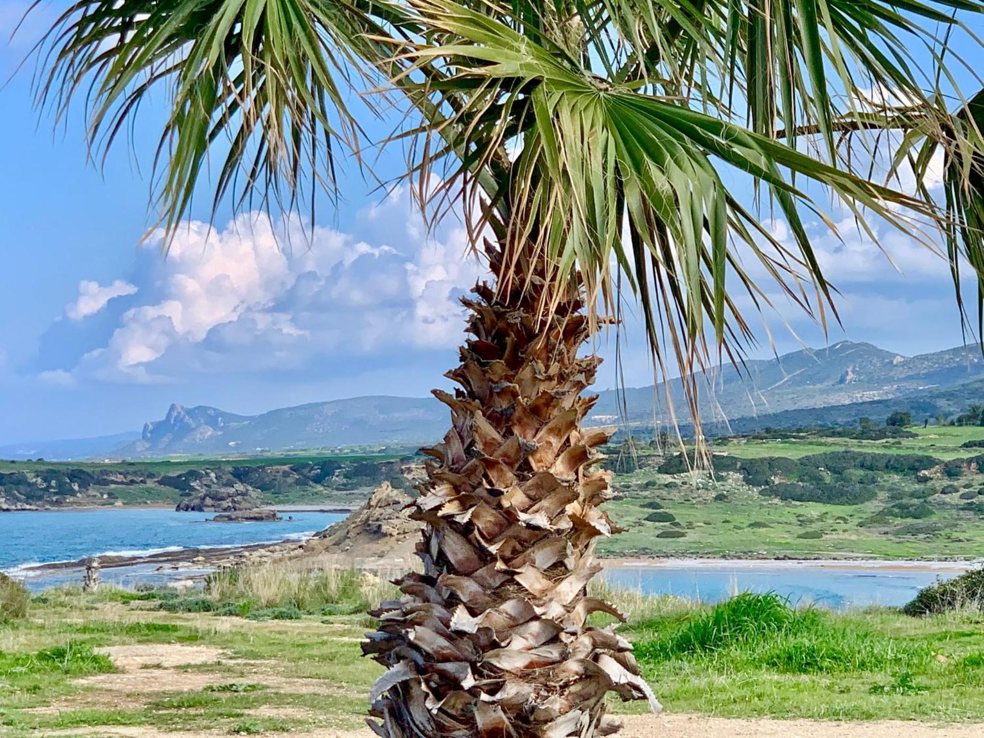 Boho Bay Apartment Akanthou Eksteriør bilde