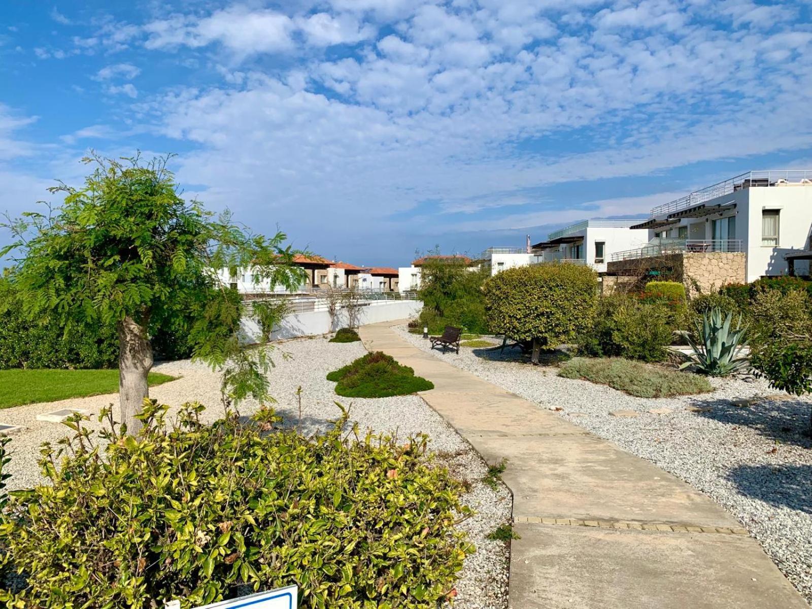 Boho Bay Apartment Akanthou Eksteriør bilde
