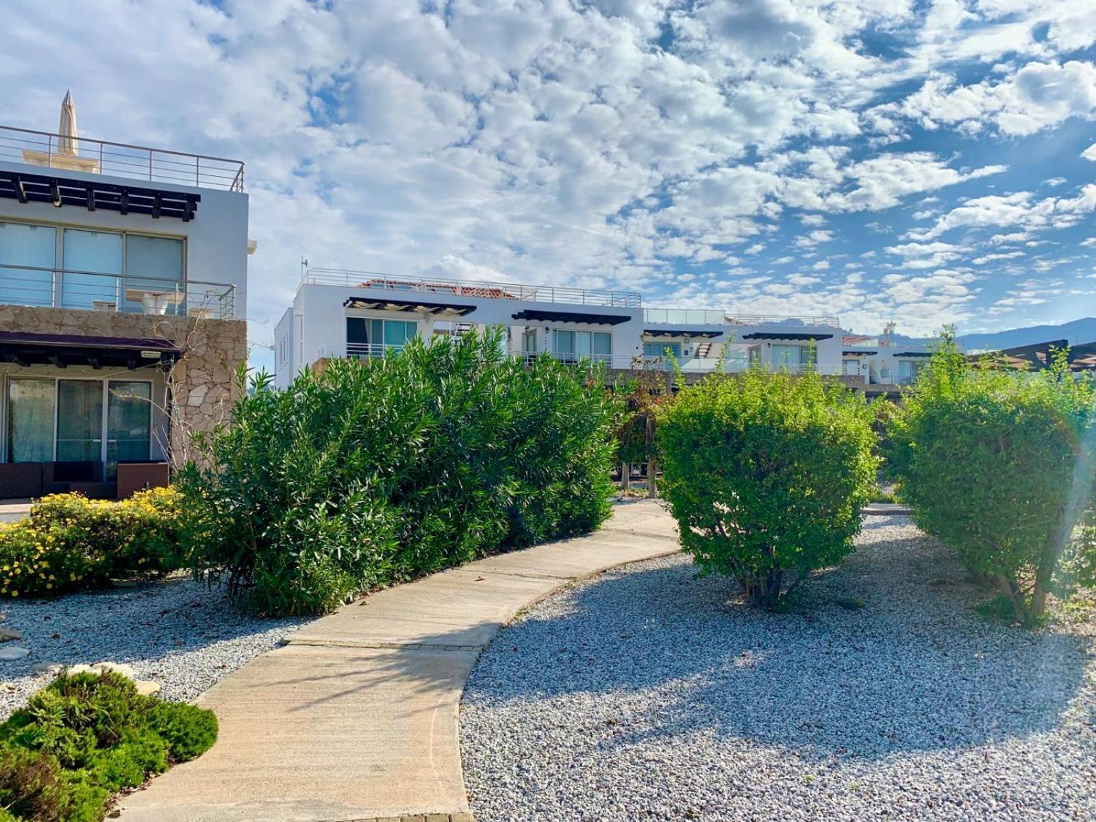 Boho Bay Apartment Akanthou Eksteriør bilde