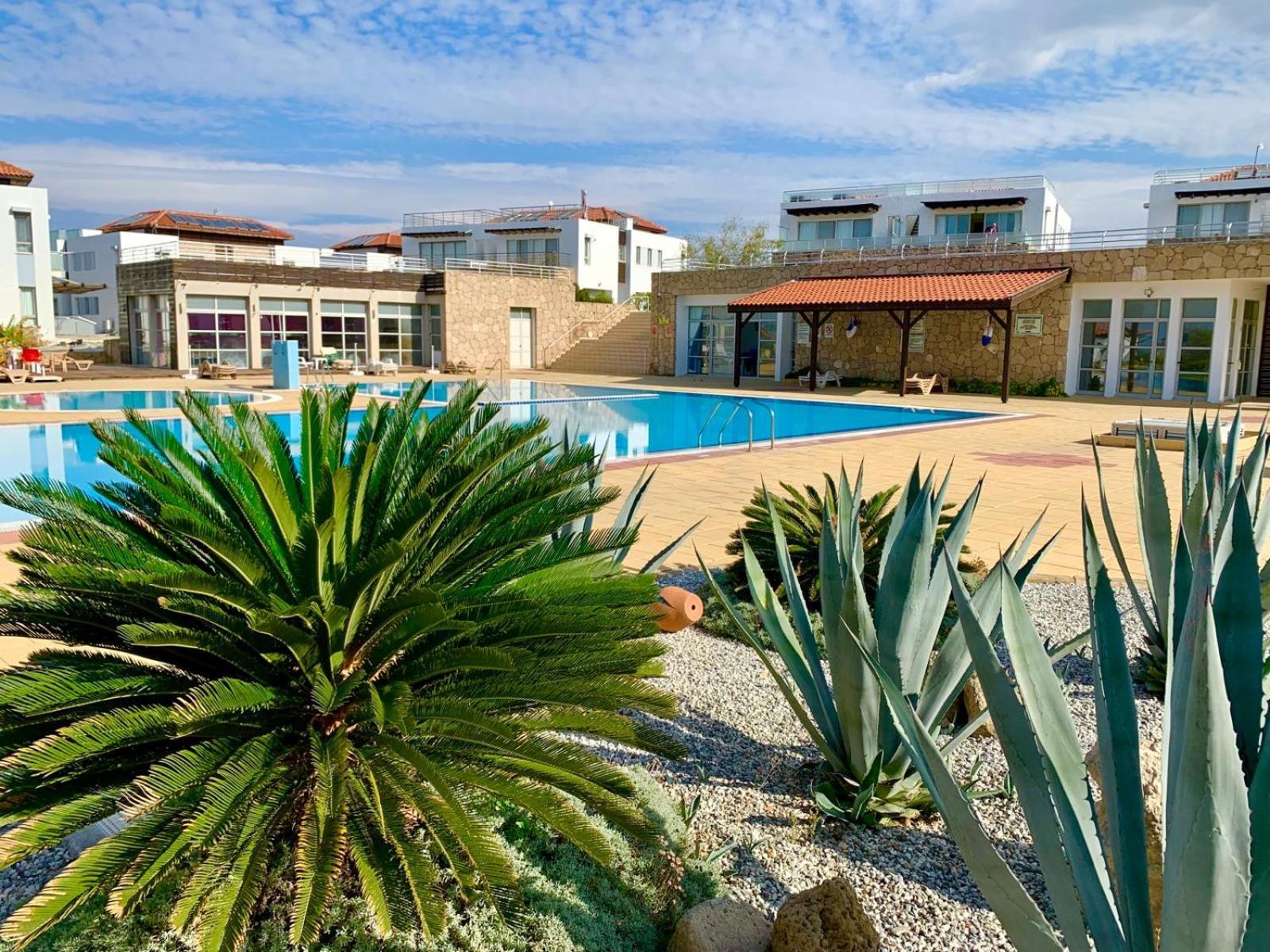 Boho Bay Apartment Akanthou Eksteriør bilde