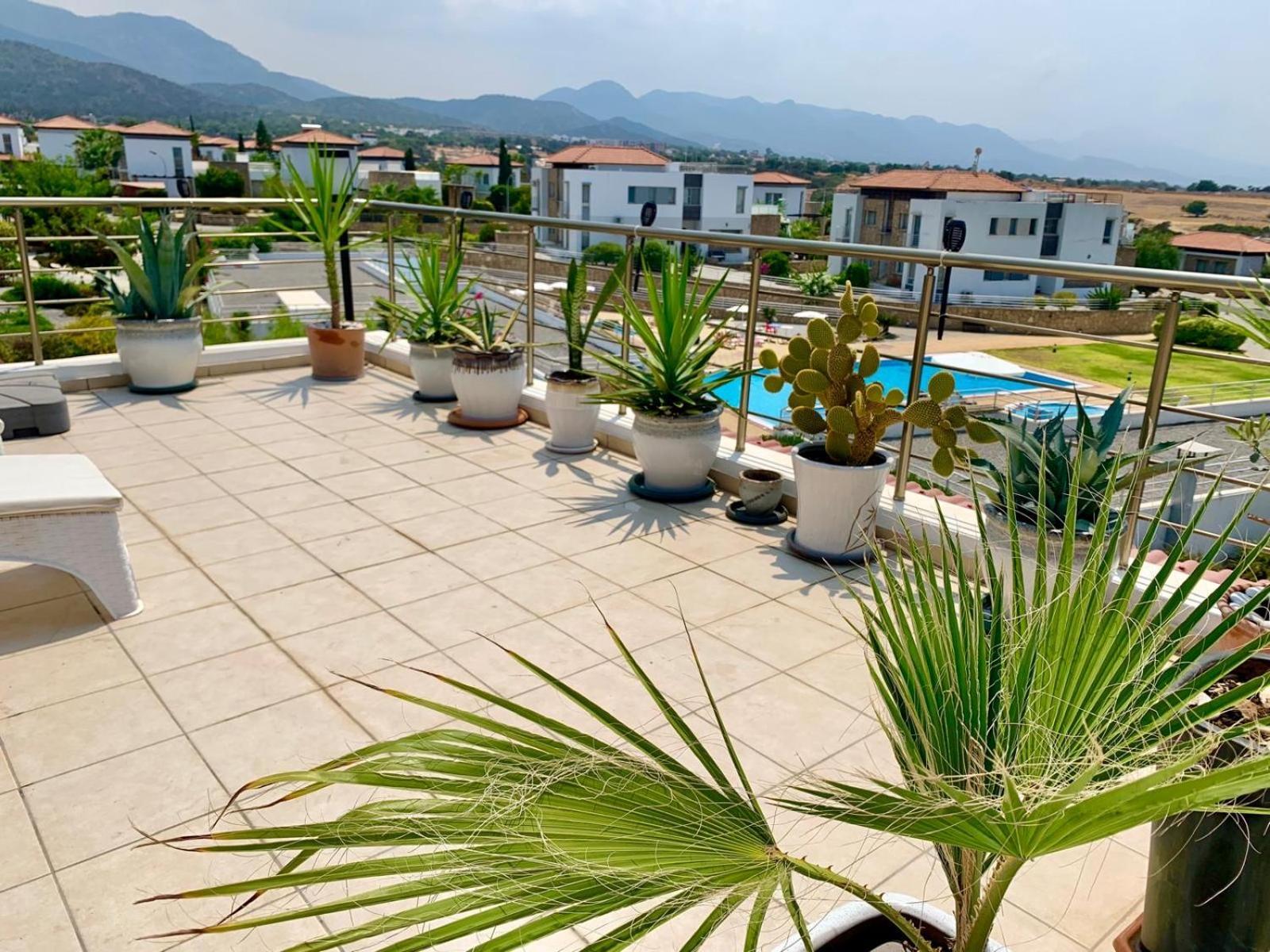 Boho Bay Apartment Akanthou Eksteriør bilde