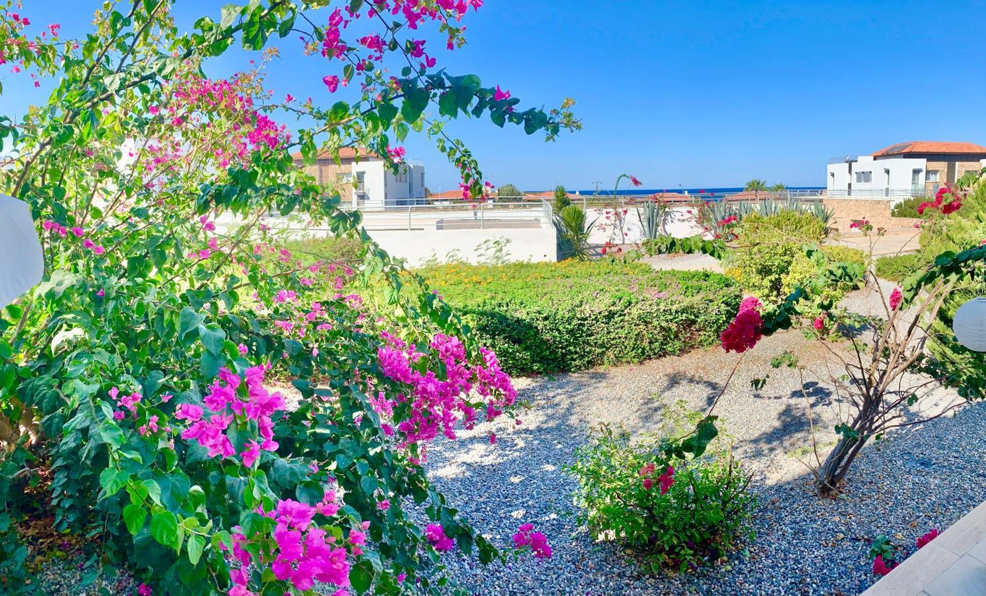 Boho Bay Apartment Akanthou Eksteriør bilde