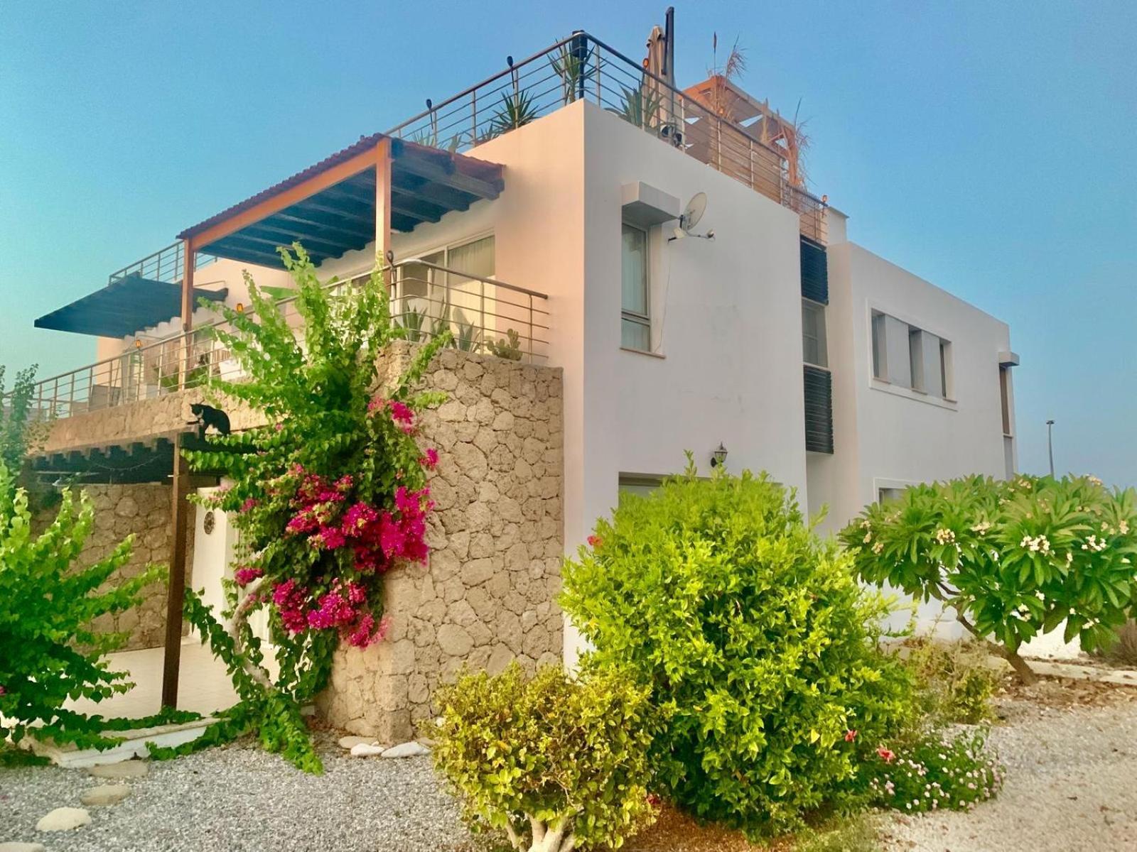 Boho Bay Apartment Akanthou Eksteriør bilde